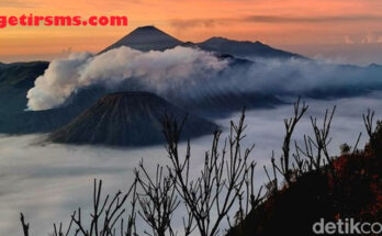 Viral Bule Ini Hampir Nyaris Di Lecehkan Di Gunung Bromo