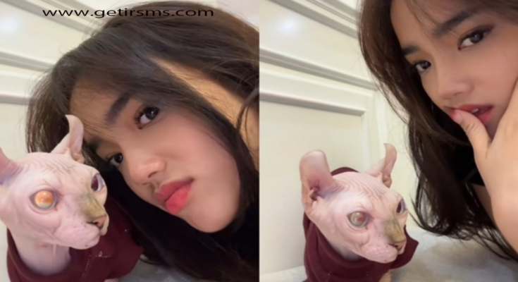 Kucing Sphynx