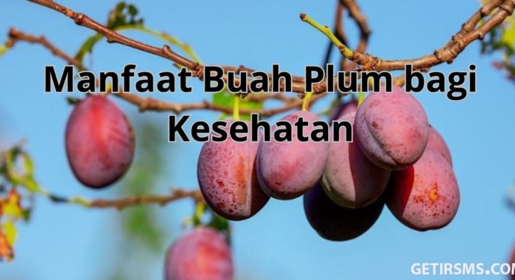 buah plum